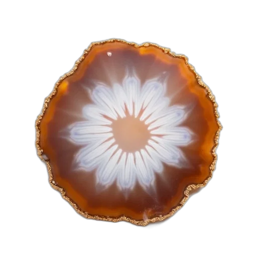 flower, crown, jewelry, hair, photorealistic, 3d render, close-up, image transparent PNG cut-out