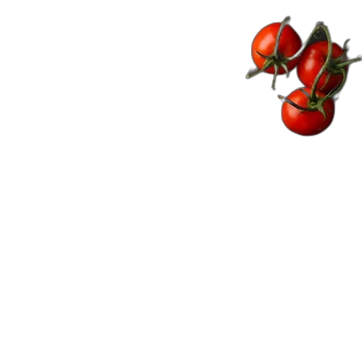 food, flower, crown, staff transparent PNG cut-out