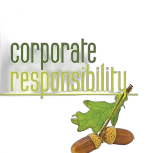 corporate, responsibility, book, cover, green, text, acorn, illustration transparent PNG cut-out