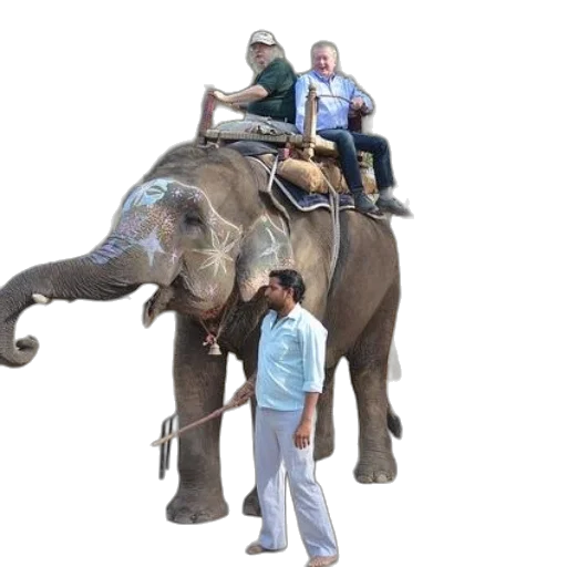 animal, staff, creature, umbrella, concept art, two, men, ride transparent PNG cut-out