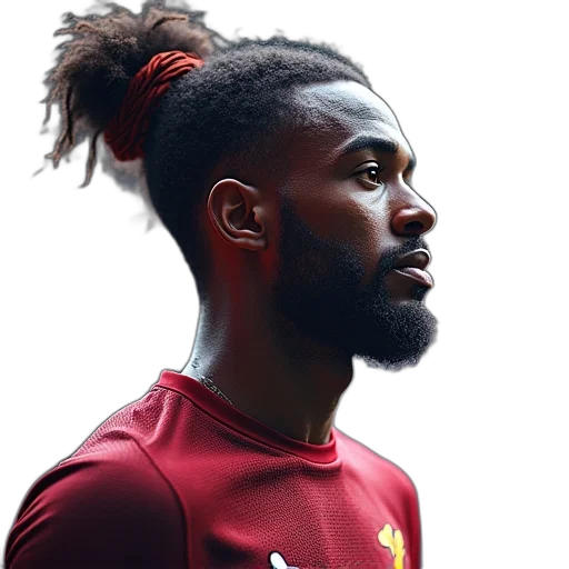 animal, hair, crown, player transparent PNG cut-out