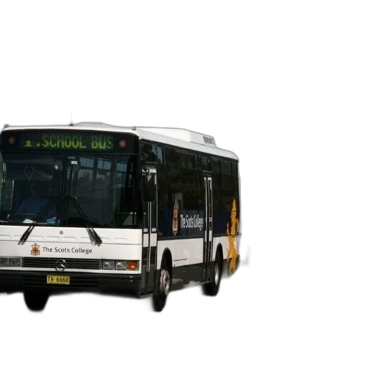 animal, car, 3d render, photorealistic, concept art, school, bus, scots transparent PNG cut-out