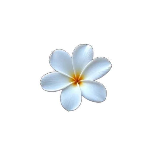flower, jewelry, crown, staff, 3d render, photorealistic, pixel art, concept art transparent PNG cut-out