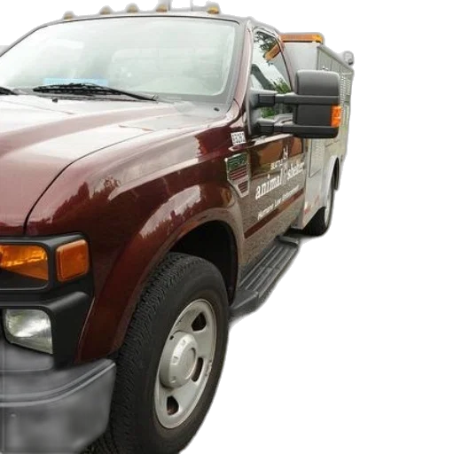 brown, dog, standing, next, maroon-colored, truck, words, animal transparent PNG cut-out