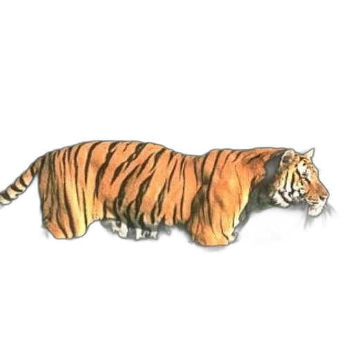 animal, creature, staff, weapon, concept art, watercolor, photorealistic, pencil sketch transparent PNG cut-out