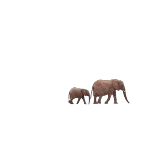 animal, creature, furniture, umbrella, 3d render, pixel art, concept art, photorealistic transparent PNG cut-out