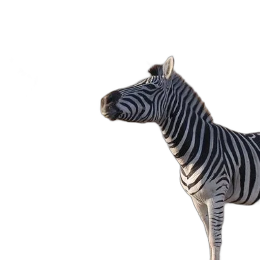 animal, creature, staff, 3d render transparent PNG cut-out