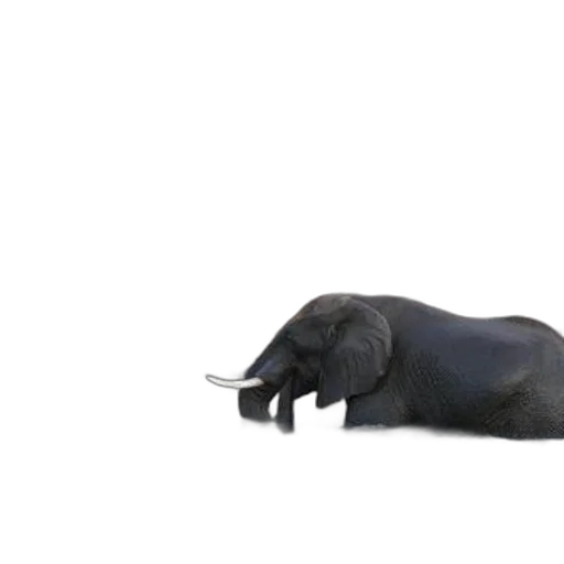 animal, creature, staff, weapon transparent PNG cut-out