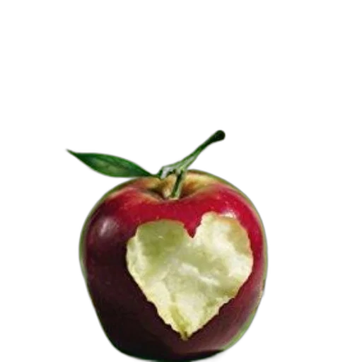 food, crown, jewelry, flower, photorealistic, 3d render, oil painting, concept art transparent PNG cut-out