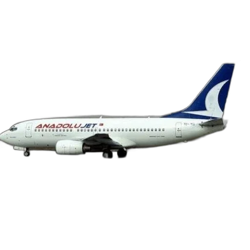 staff, animal, anadolujet, airplane, runway, cloudy, sky, background transparent PNG cut-out