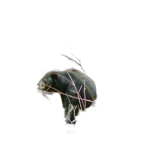 animal, creature, hat, hair, concept art, photorealistic, 3d render, pixel art transparent PNG cut-out