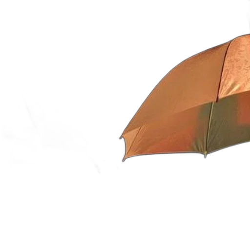 umbrella, hat, jacket, staff transparent PNG cut-out