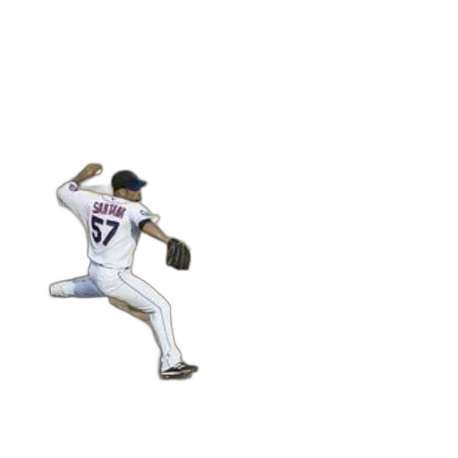 weapon, animal, baseball, player transparent PNG cut-out