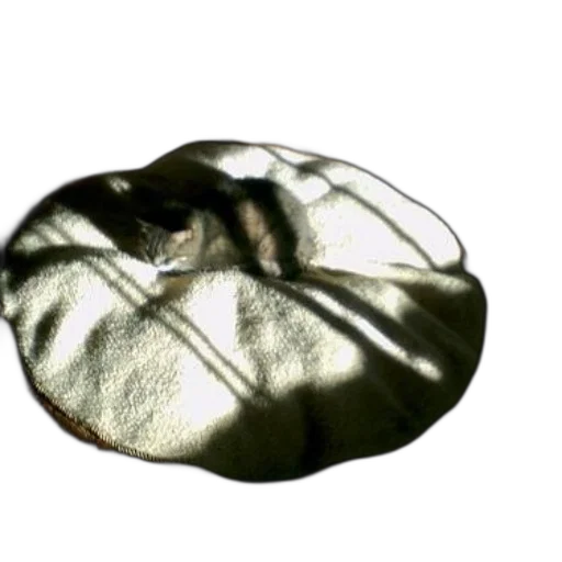 jacket, hat, crown, mask, 3d render, photorealistic, outer space, earth tones transparent PNG cut-out