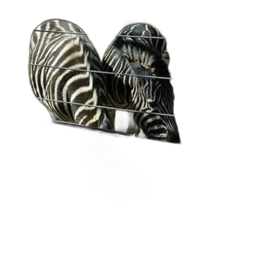 jewelry, mask, shoes, furniture, 3d render, photorealistic, two, zebras transparent PNG cut-out