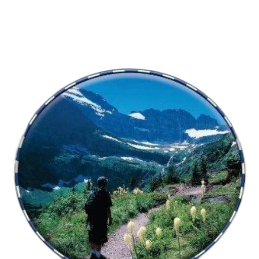 jacket, umbrella, hat, face, photorealistic, concept art, forest, book transparent PNG cut-out