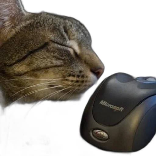 animal, staff, robot, creature, photorealistic, 3d render, cyberpunk, cat transparent PNG cut-out