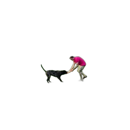 animal, creature, staff, pixel art, 3d render, concept art, neon, person transparent PNG cut-out
