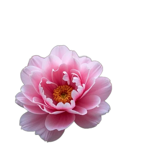 flower, crown, jewelry, staff, 3d render, photorealistic, oil painting, pixel art transparent PNG cut-out