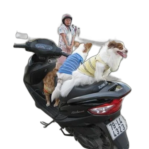 animal, car, jacket, photorealistic, 3d render, concept art, woman, scooter transparent PNG cut-out