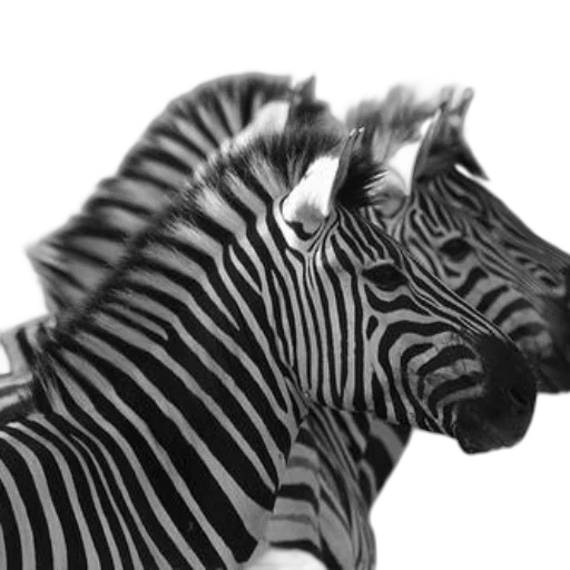 animal, creature, dragon, jewelry, 3d render, photorealistic, concept art, vaporwave transparent PNG cut-out