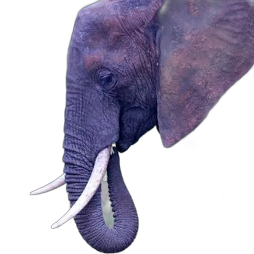 animal, hat, creature, staff, photorealistic, concept art, 3d render, watercolor transparent PNG cut-out