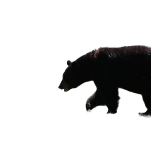 animal, creature, staff, weapon, concept art, 3d render, photorealistic, pixel art transparent PNG cut-out