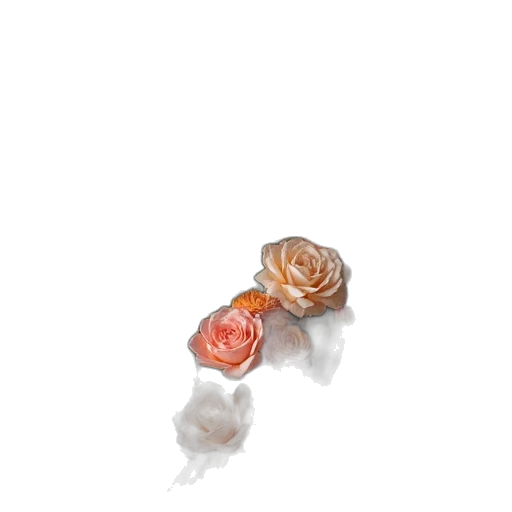 jewelry, crown, flower, hat transparent PNG cut-out