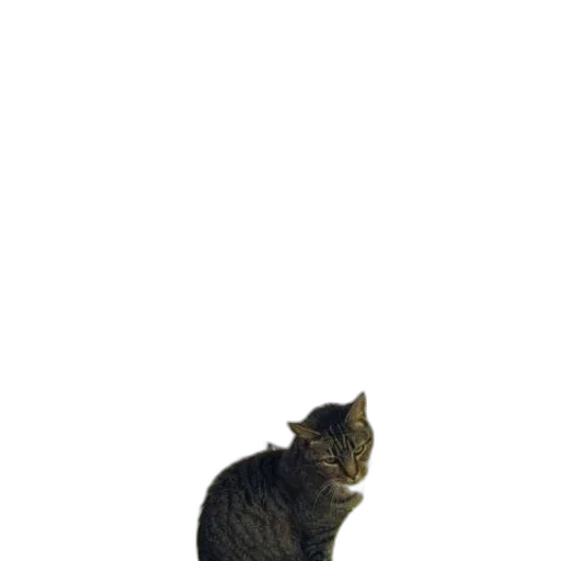 animal, staff, creature, robot, 3d render, photorealistic, pixel art, concept art transparent PNG cut-out