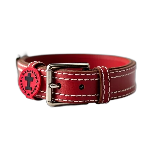 jewelry, crown, red, brown, leather, dog, collar, metal transparent PNG cut-out