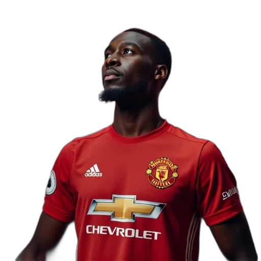 face, manchester, united, fan transparent PNG cut-out