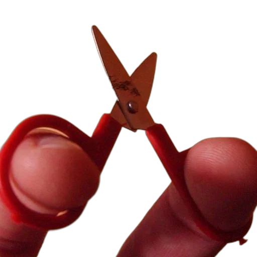 staff, weapon, jewelry, animal, 3d render, photorealistic, concept art, fire transparent PNG cut-out