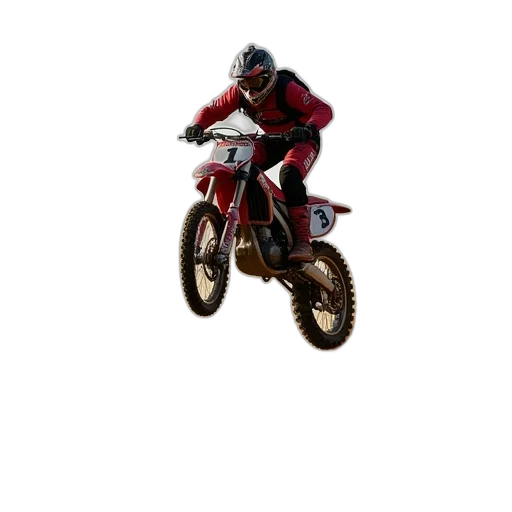 animal, jacket, creature, 3d render transparent PNG cut-out