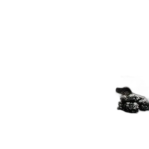shoes, jewelry, food, robot, 3d render, photorealistic, concept art, fog transparent PNG cut-out