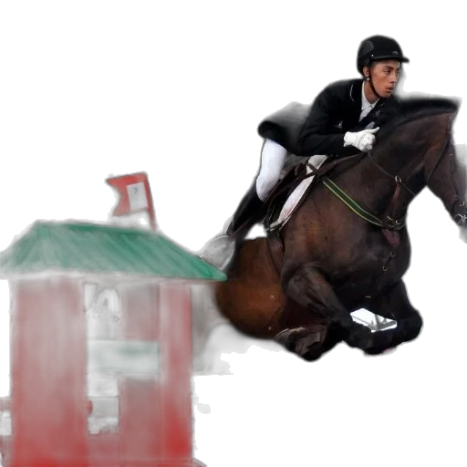 animal, photorealistic, concept art, pixel art, oil painting, rider, horse, jumps transparent PNG cut-out