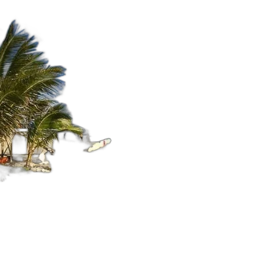 umbrella, weapon, tree, 3d render, photorealistic, concept art, beach, serene transparent PNG cut-out