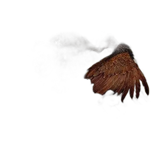 animal, hair, jacket, dragon, photorealistic, concept art, pixel art, 3d render transparent PNG cut-out