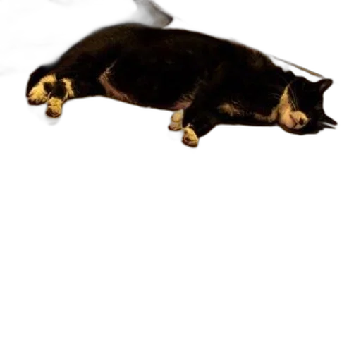 animal, staff, creature, weapon, photorealistic, 3d render, concept art, pixel art transparent PNG cut-out