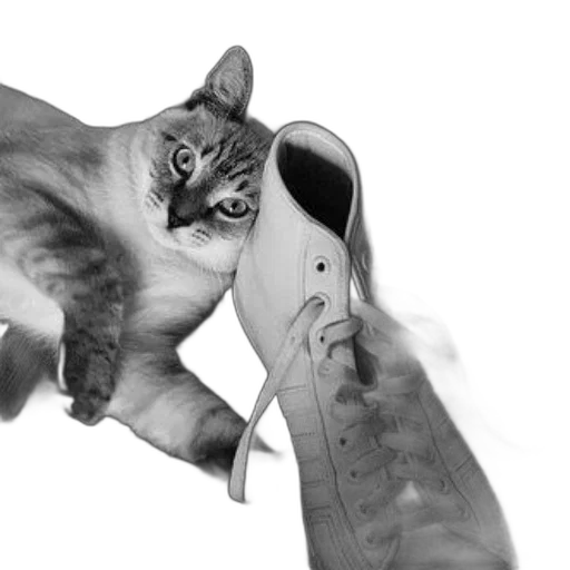 shoes, animal, weapon, photorealistic, pencil sketch, fire, curious, cat transparent PNG cut-out