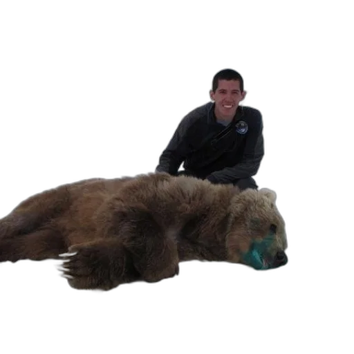 animal, creature, staff, man transparent PNG cut-out
