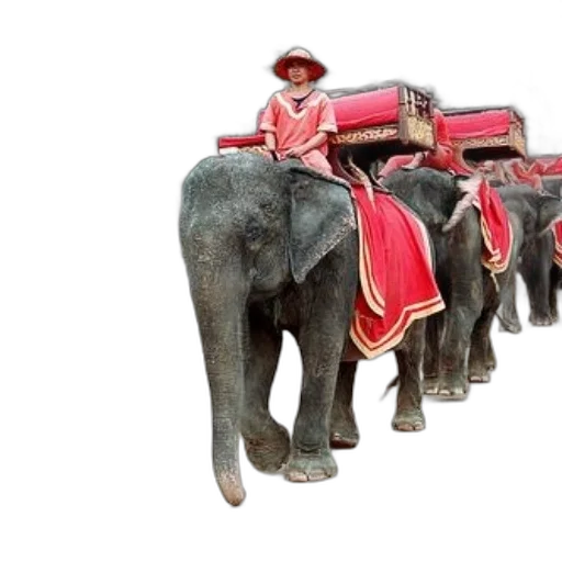 concept art, 3d render, person, rides, elephant, adorned, red, blankets transparent PNG cut-out