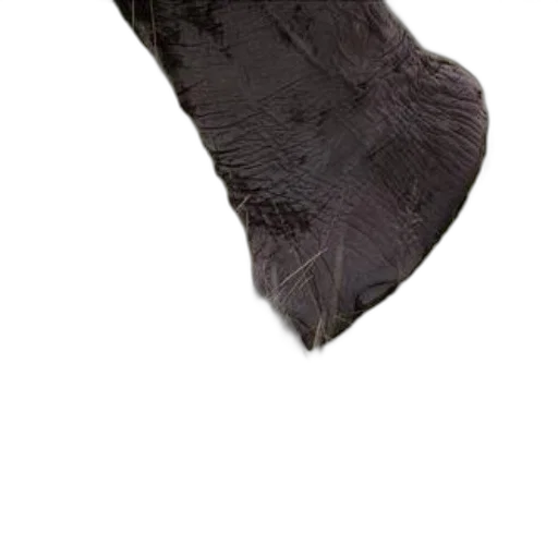 shoes, hat, hair, mask, photorealistic, 3d render, concept art, fantasy art transparent PNG cut-out