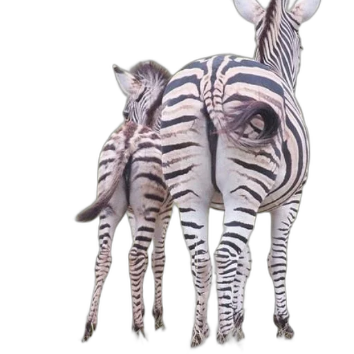 animal, creature, concept art, 3d render, photorealistic, watercolor, two, zebras transparent PNG cut-out
