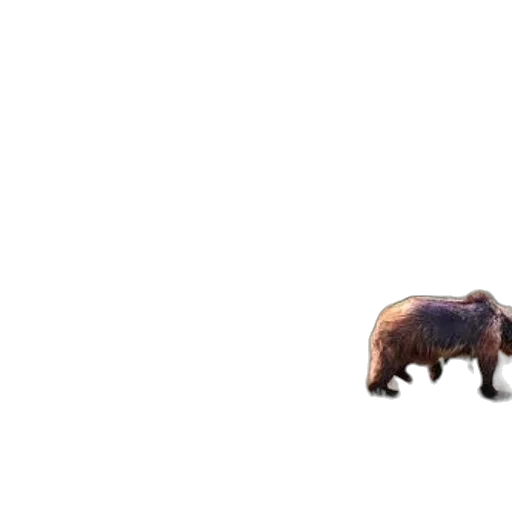 animal, creature, furniture, car, 3d render, concept art, pixel art, photorealistic transparent PNG cut-out