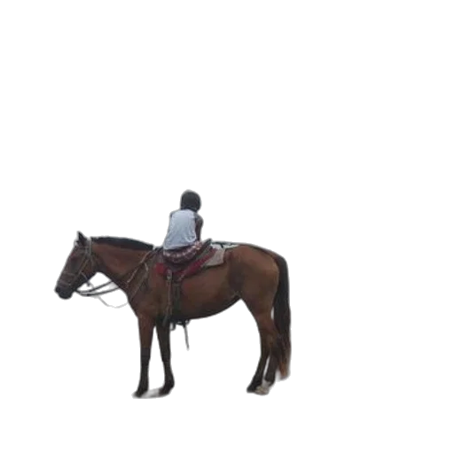 animal, staff, jacket, hat, 3d render, concept art, pixel art, photorealistic transparent PNG cut-out