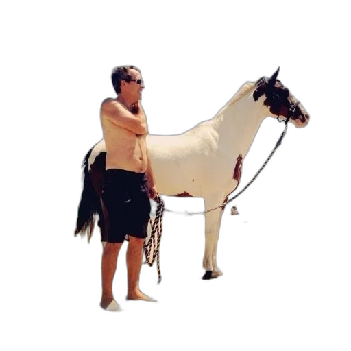 animal, staff, creature, weapon transparent PNG cut-out