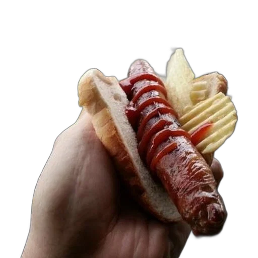 food, weapon, animal, creature, 3d render, photorealistic, hand, holding transparent PNG cut-out