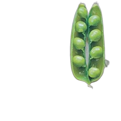 food, jewelry, crown, weapon, 3d render, concept art, photorealistic, pixel art transparent PNG cut-out