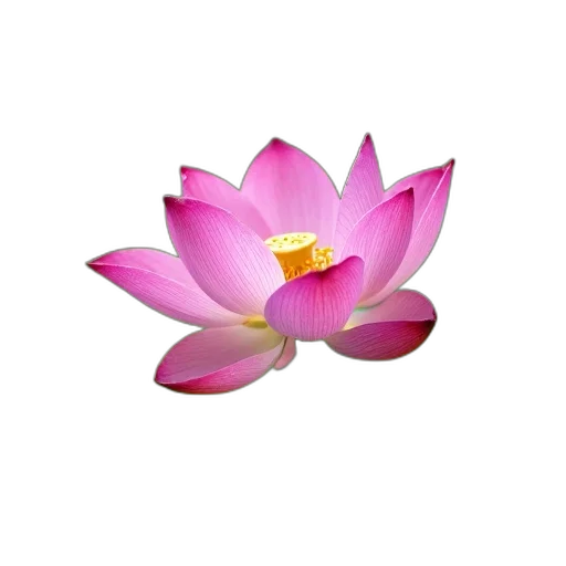 flower, jewelry, staff, crown, 3d render, photorealistic, pixel art, vaporwave transparent PNG cut-out