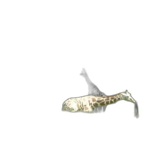 animal, weapon, creature, dragon, concept art, 3d render, pixel art, photorealistic transparent PNG cut-out